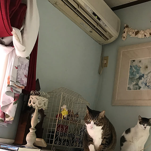 merisannさんの実例写真