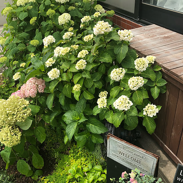 mami.suke0221さんの実例写真
