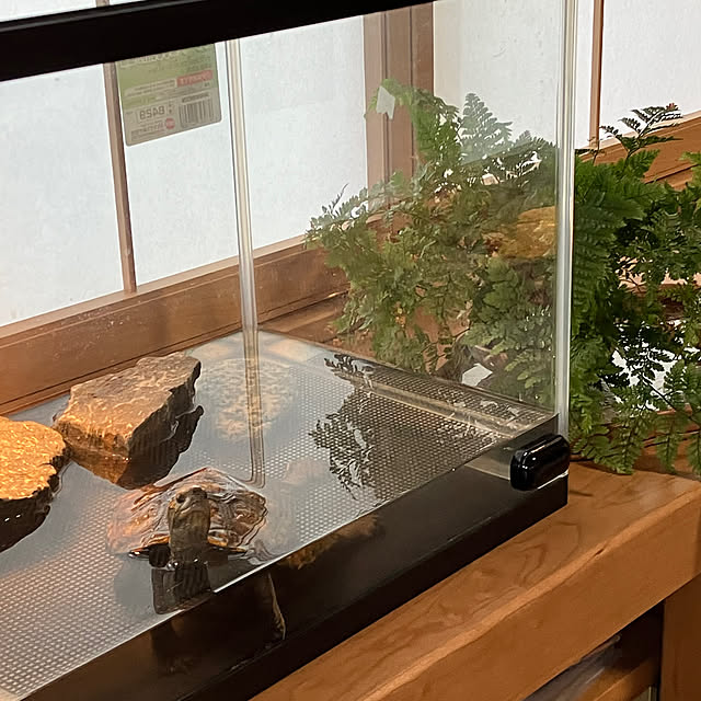 Takenoyaさんの部屋