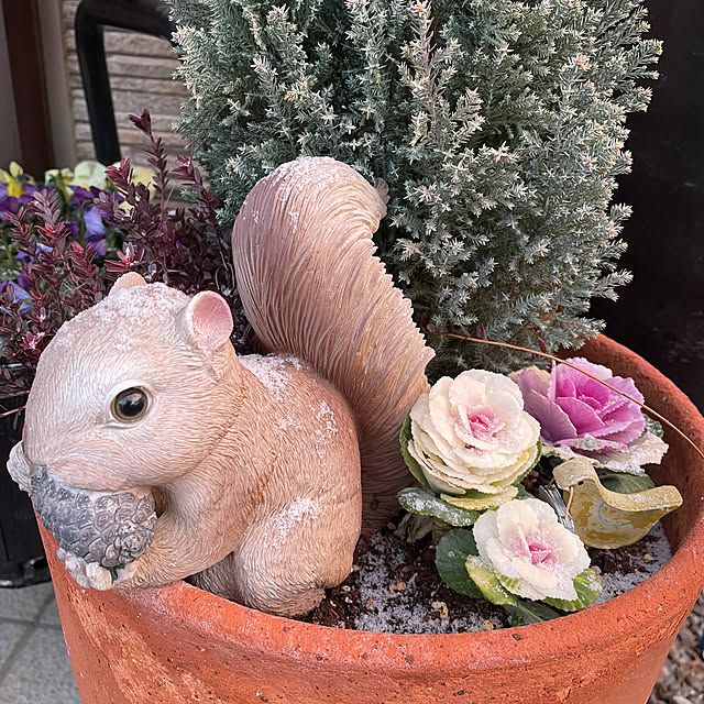 ronronさんの部屋