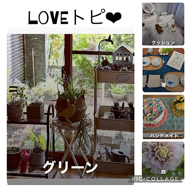 CoCo0617さんの実例写真