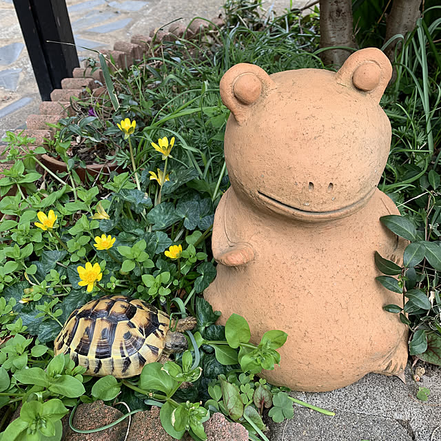 romiromiさんの実例写真