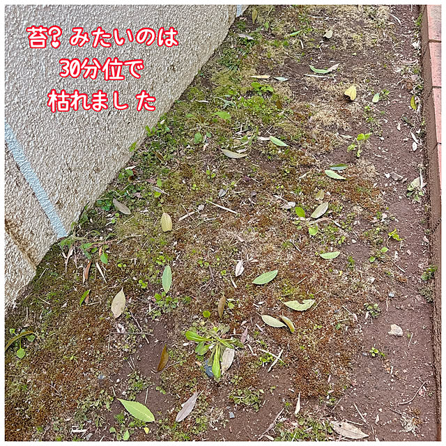 miyuさんの部屋