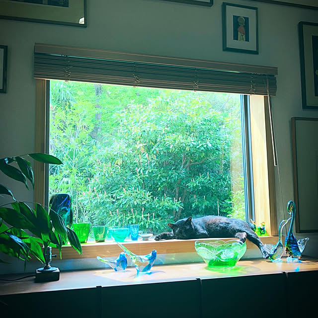 yukiohさんの実例写真