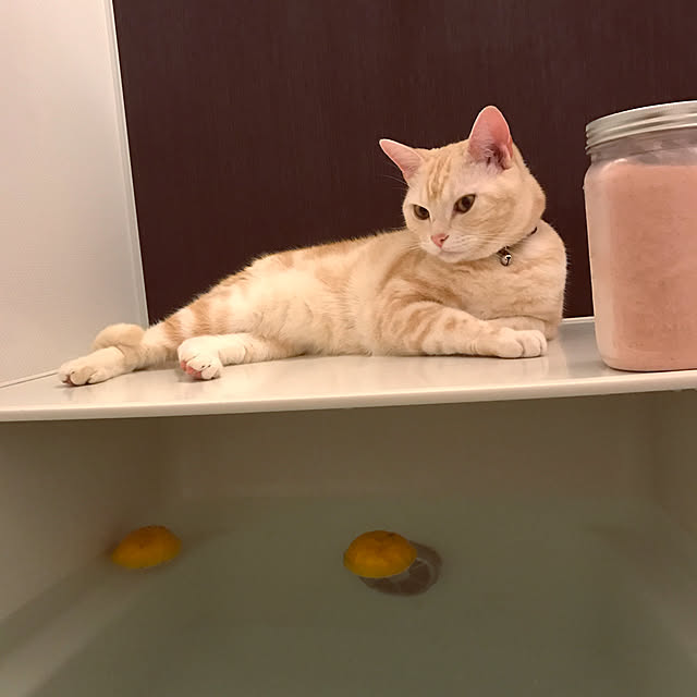 hiyupan88さんの実例写真