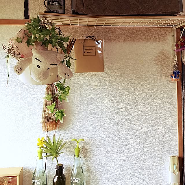 sachinicoさんの実例写真