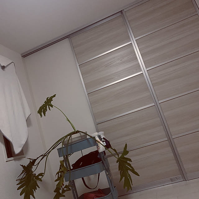 Maiさんの実例写真