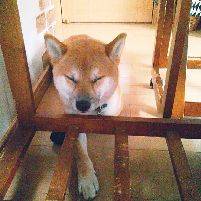 kotaさんの実例写真