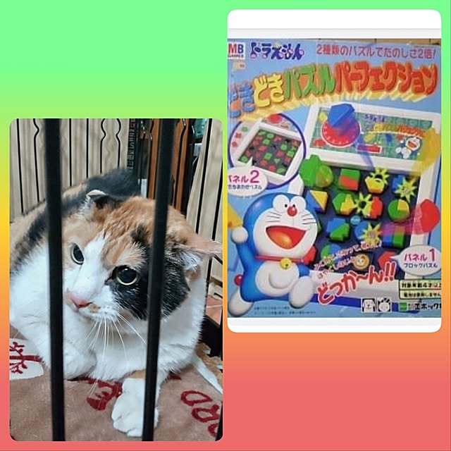 nanaさんの部屋