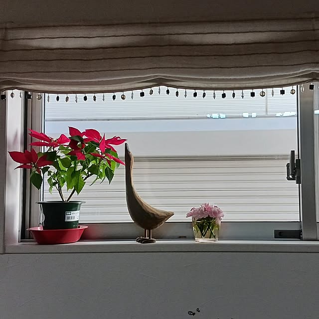 aiさんの実例写真