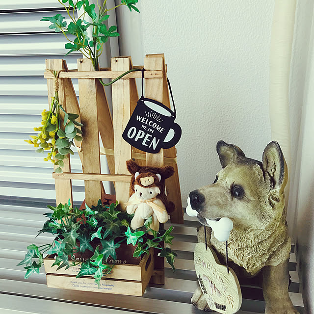 molpieさんの実例写真