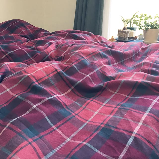 cccさんの実例写真