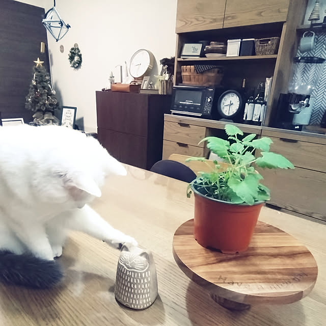 MIPORINNさんの実例写真