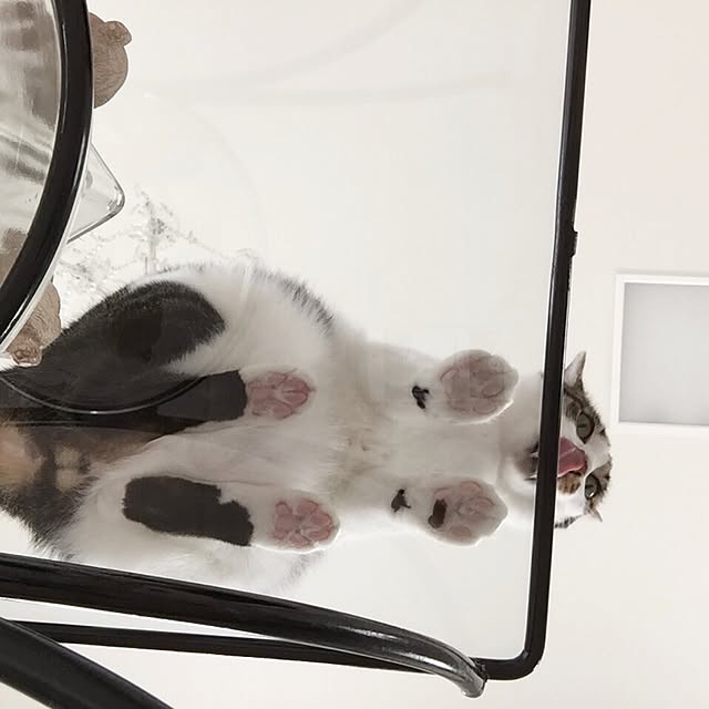 yuchiさんの実例写真