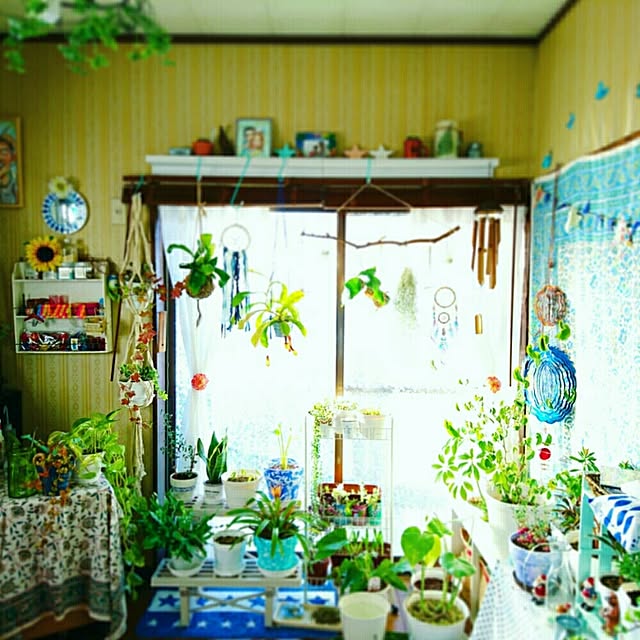 Ayakaさんの実例写真