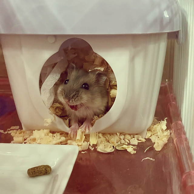 milkさんの実例写真