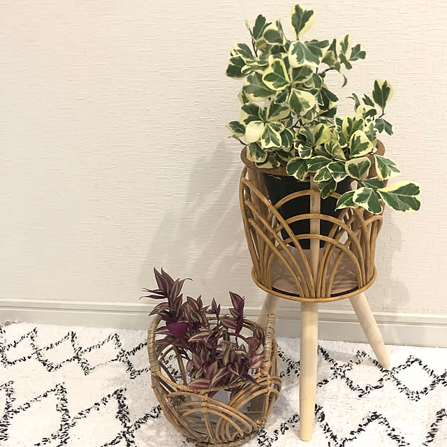 doremiさんの部屋