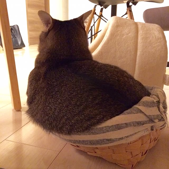 Reikoさんの実例写真
