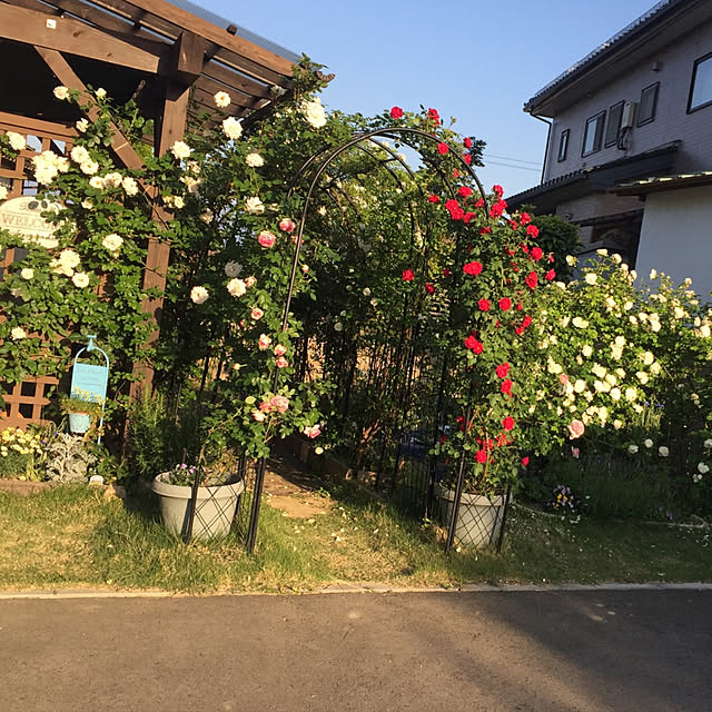 実例写真