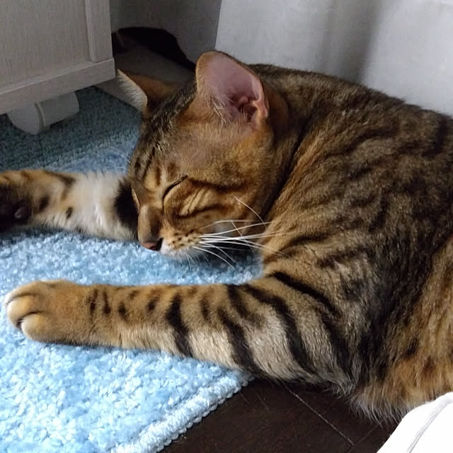 tmshc0358さんの実例写真