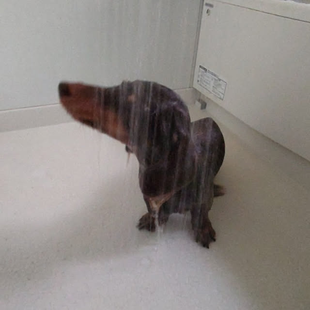 mapleさんの実例写真
