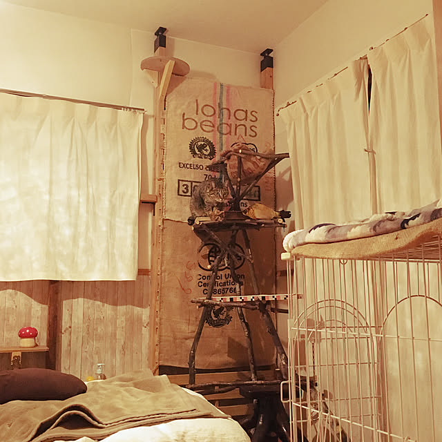 Mさんの実例写真