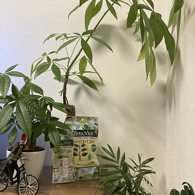 Misaさんの実例写真