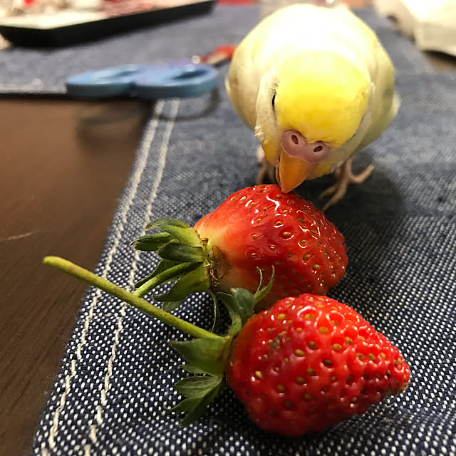 takaさんの実例写真