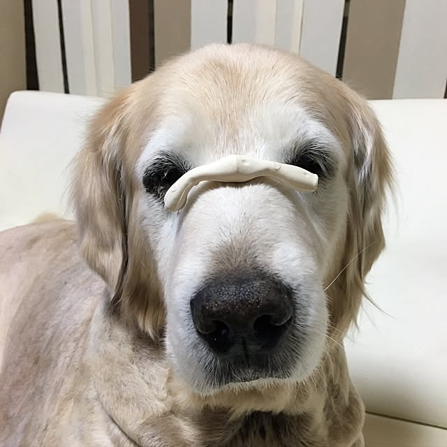 Poaluさんの実例写真