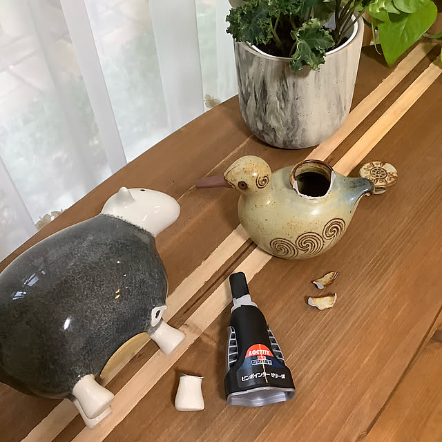 naive.coccoさんの実例写真