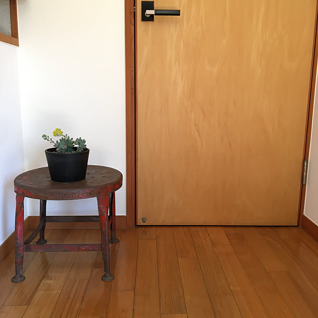 taloponさんの実例写真