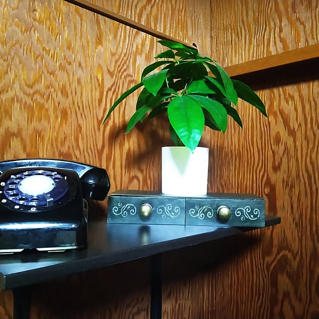 dreamerさんの部屋