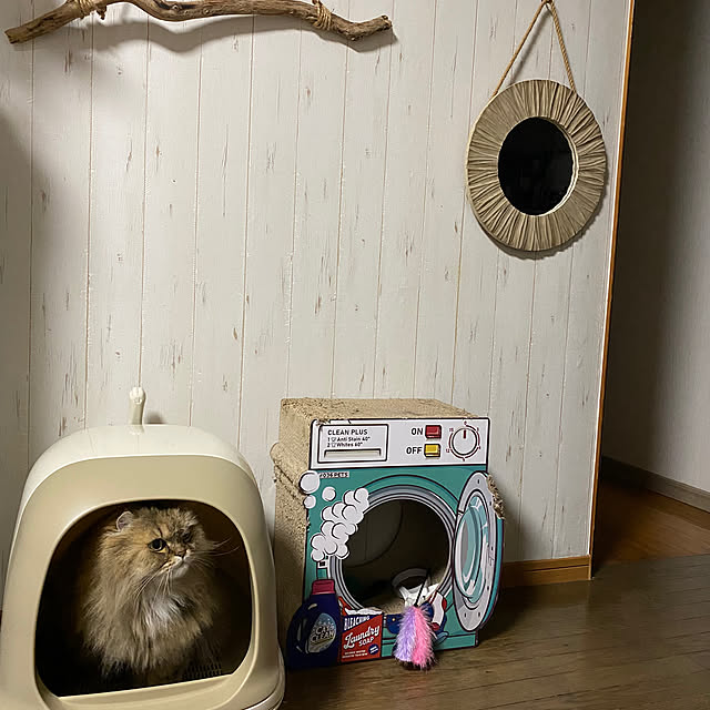 xxyumexx.roomさんの実例写真