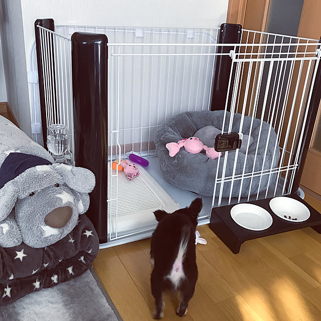 ruteiさんの実例写真