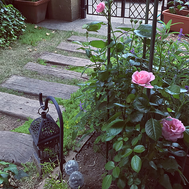madamkaoriさんの部屋