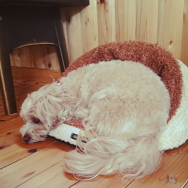 makaronさんの実例写真