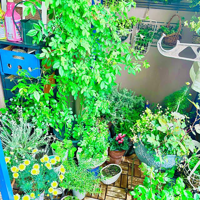 naokoさんの部屋