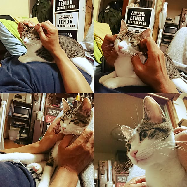 kiraさんの実例写真