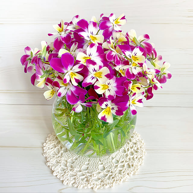 natural_cottonさんの実例写真