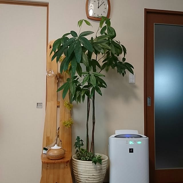 kanamiさんの実例写真