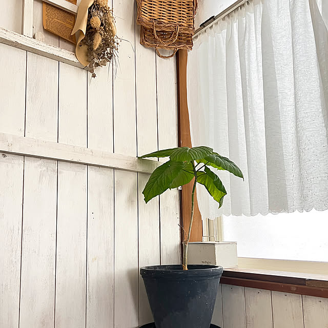 rookuさんの実例写真
