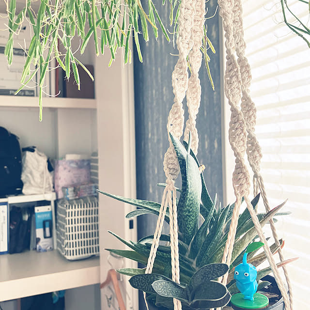 shiho...さんの実例写真