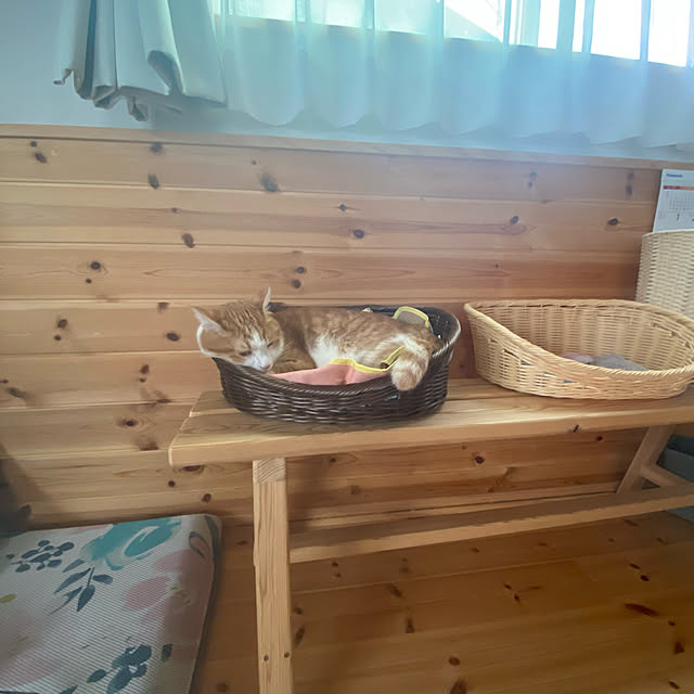 senbei.sakuramochiさんの実例写真