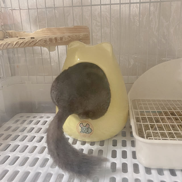milkさんの実例写真