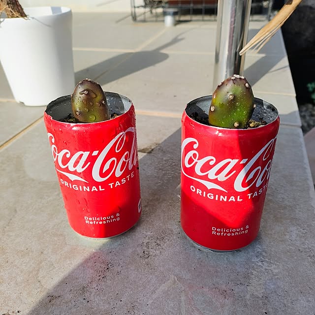 mowchanさんの実例写真