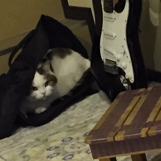 Yakkoさんの実例写真