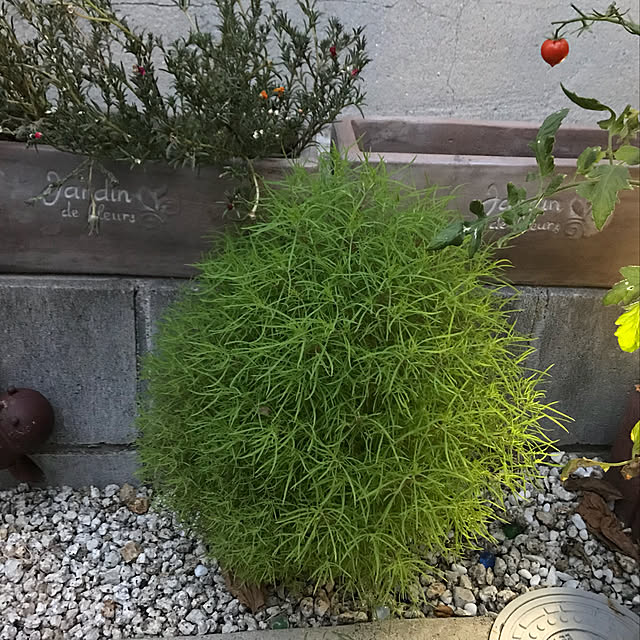 keito814さんの実例写真