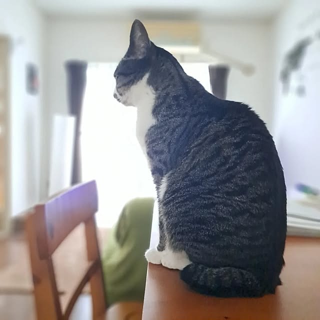 shinoさんの部屋