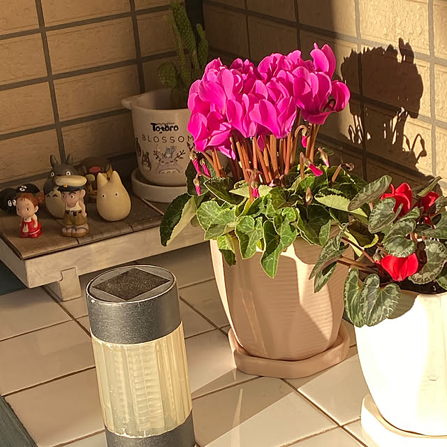 YuuKoさんの部屋