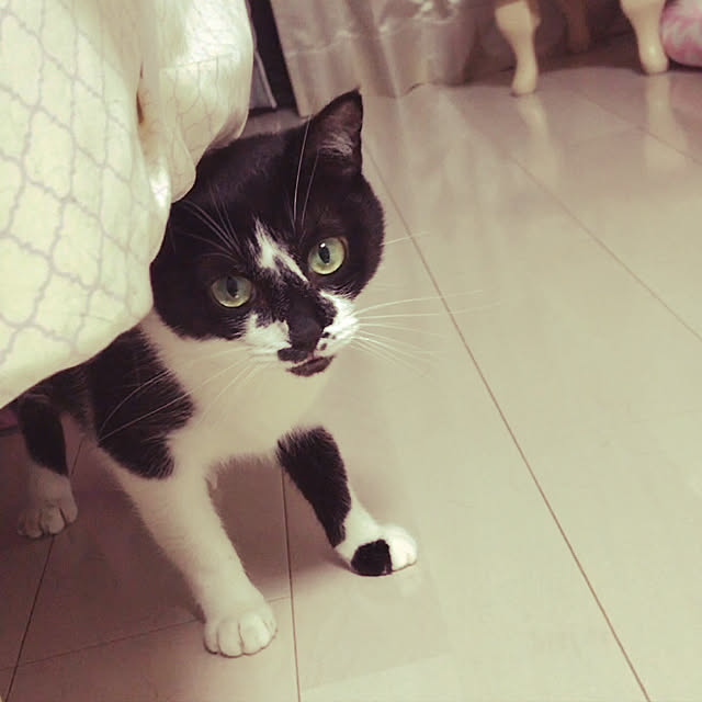 LoveRIBBONさんの実例写真